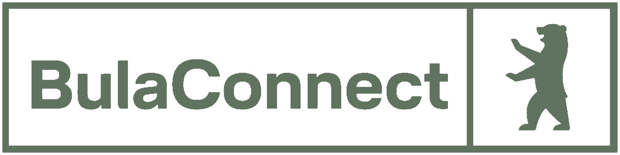 BulaConnect